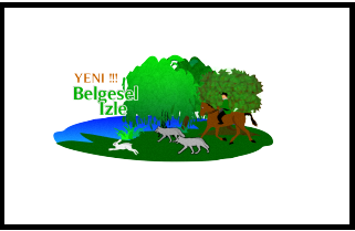 Belgesel �zle